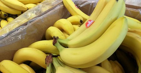 Analizy nie pozostawiają złudzeń: Jabłek w promocjach jest coraz mniej. Za to bananów przybywa