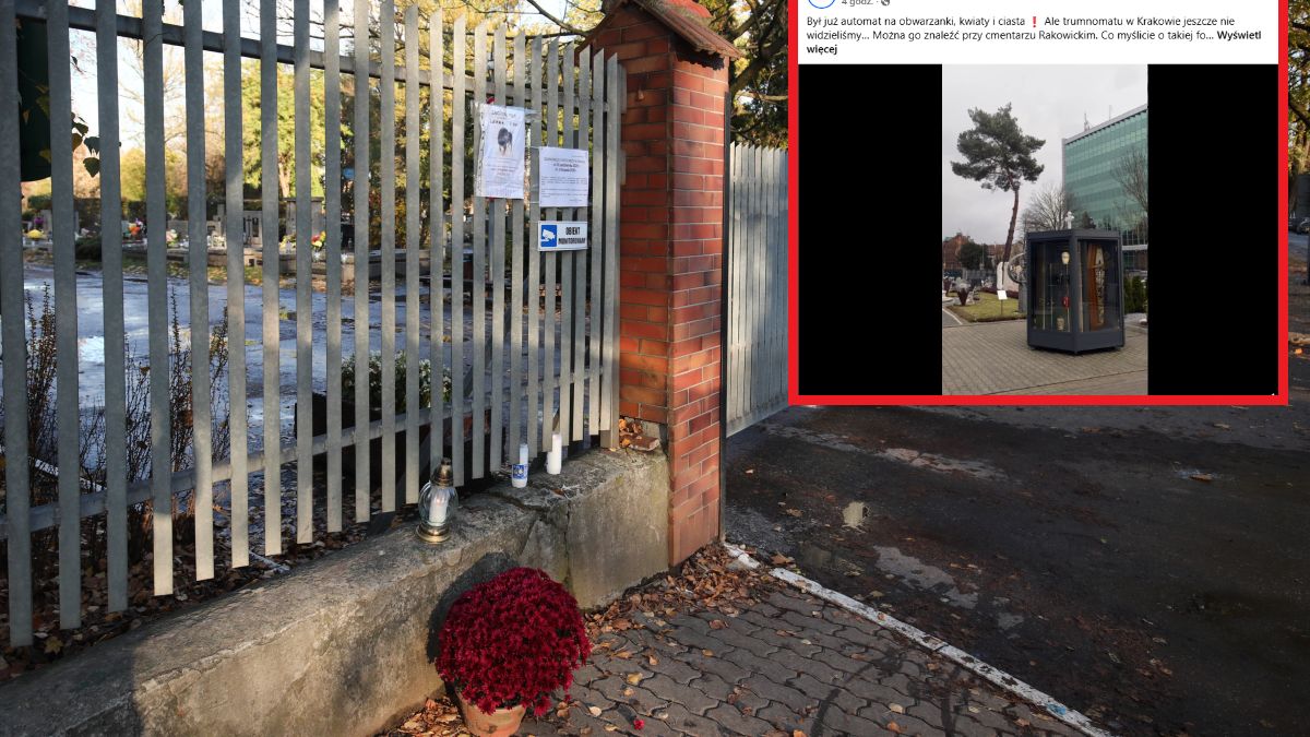 Ten widok zaskoczył wielu internautów