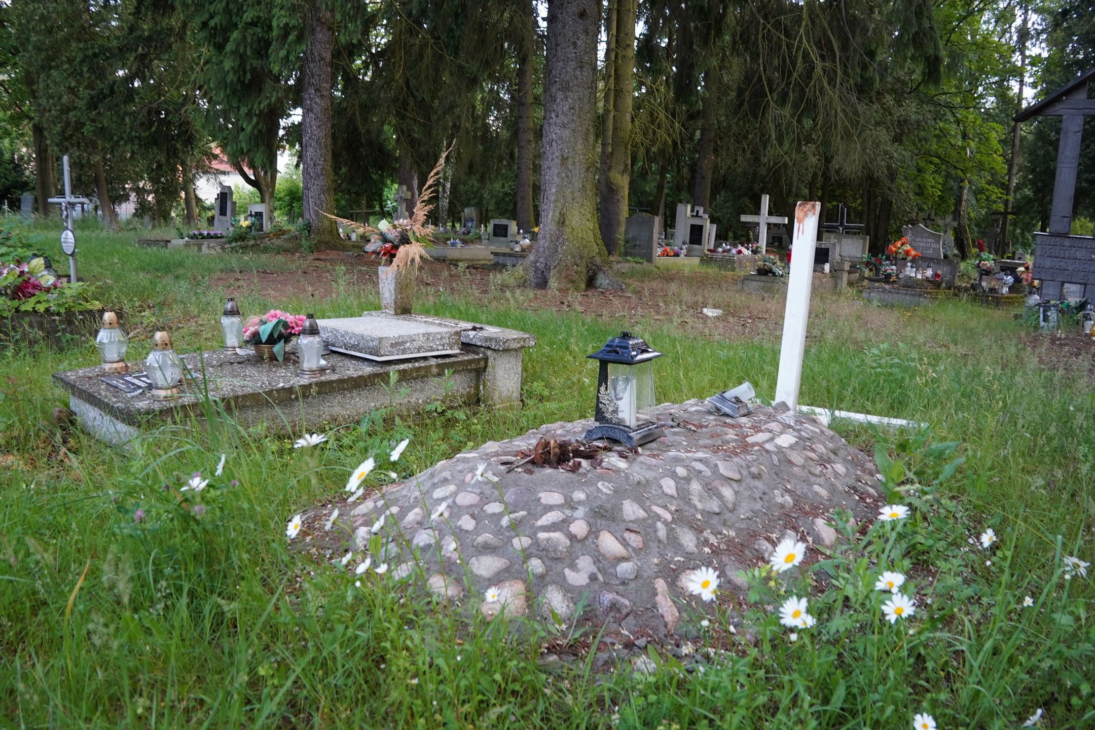 Zniszczone nagrobki na zabytkowym cmentarzu w Pile