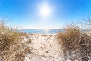Plaża w Uhowie i na Dojlidach. Atrakcje w tegorocznym sezonie letnim