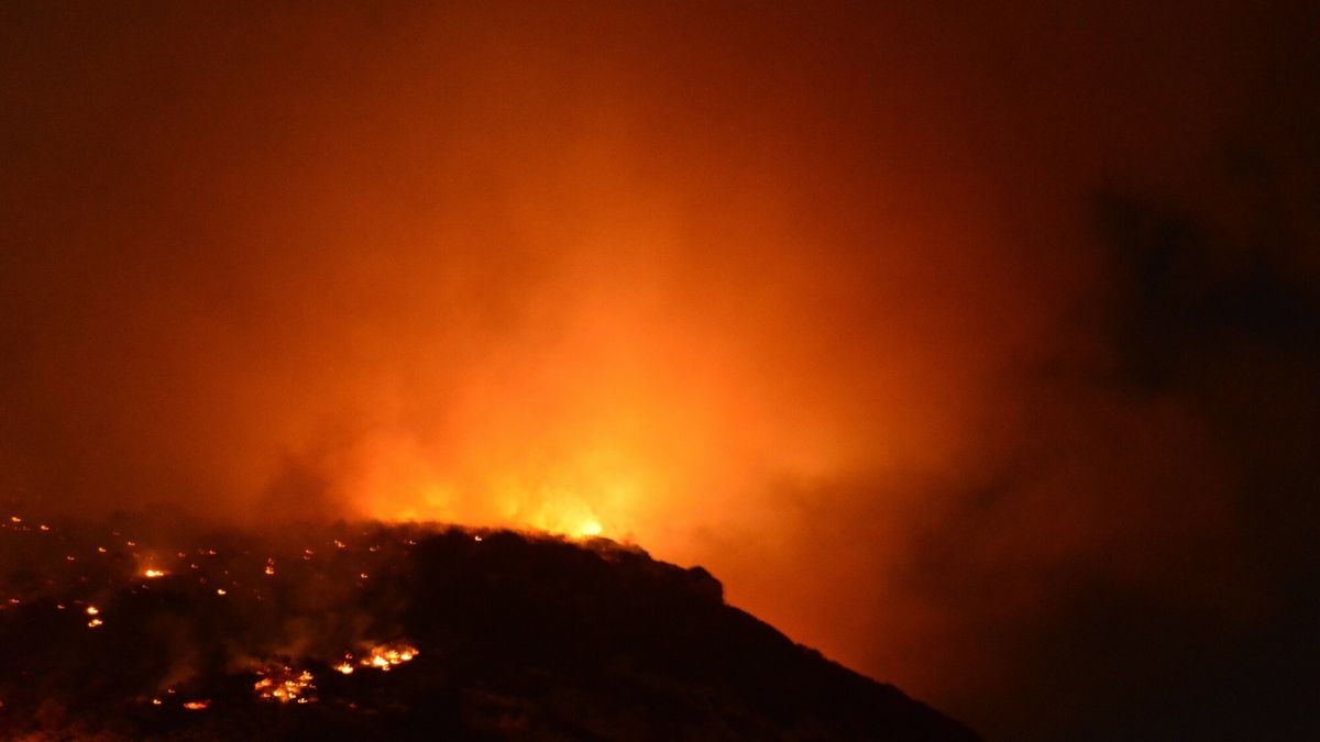 Trzy osoby zginęły w pożarze w fabryce żywności.