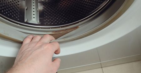 Zostawiam pod uszczelką. Cuchnąca pleśń znika z pralki