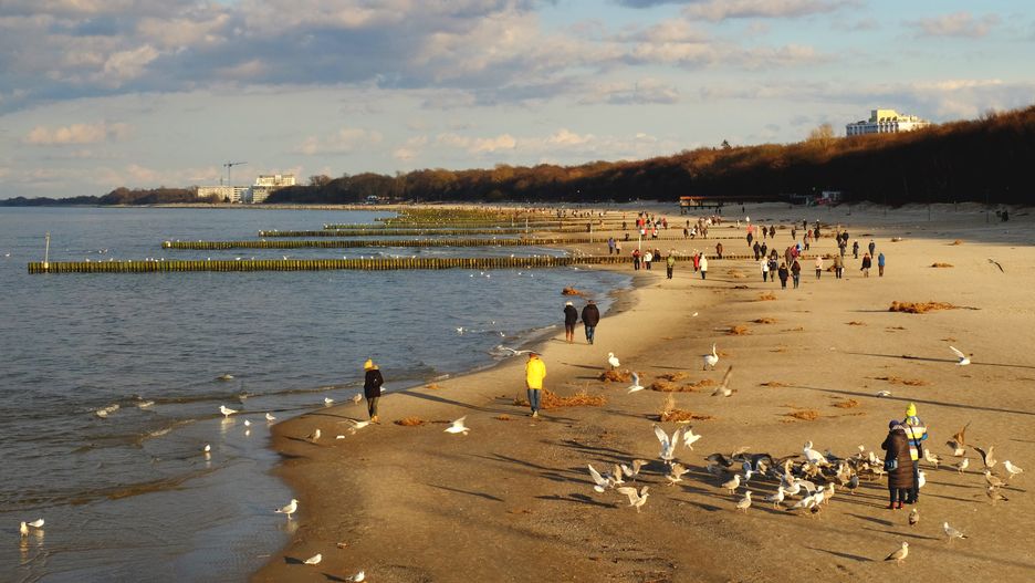 plaża jesień