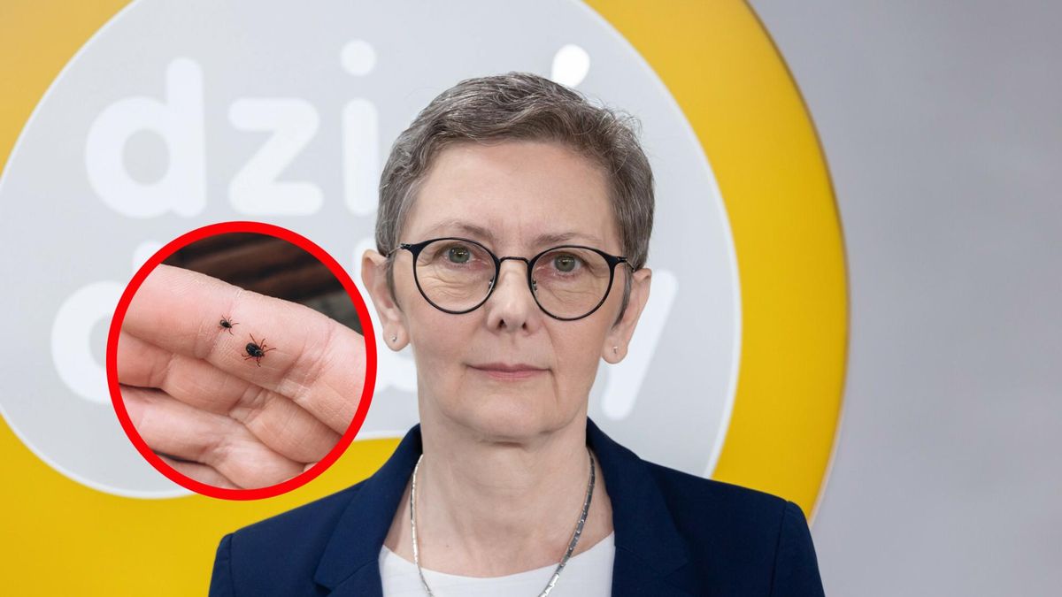 Coraz więcej zachorowań, a odsetek szczepień wciąż niski. Eksperci ostrzegają przed KZM