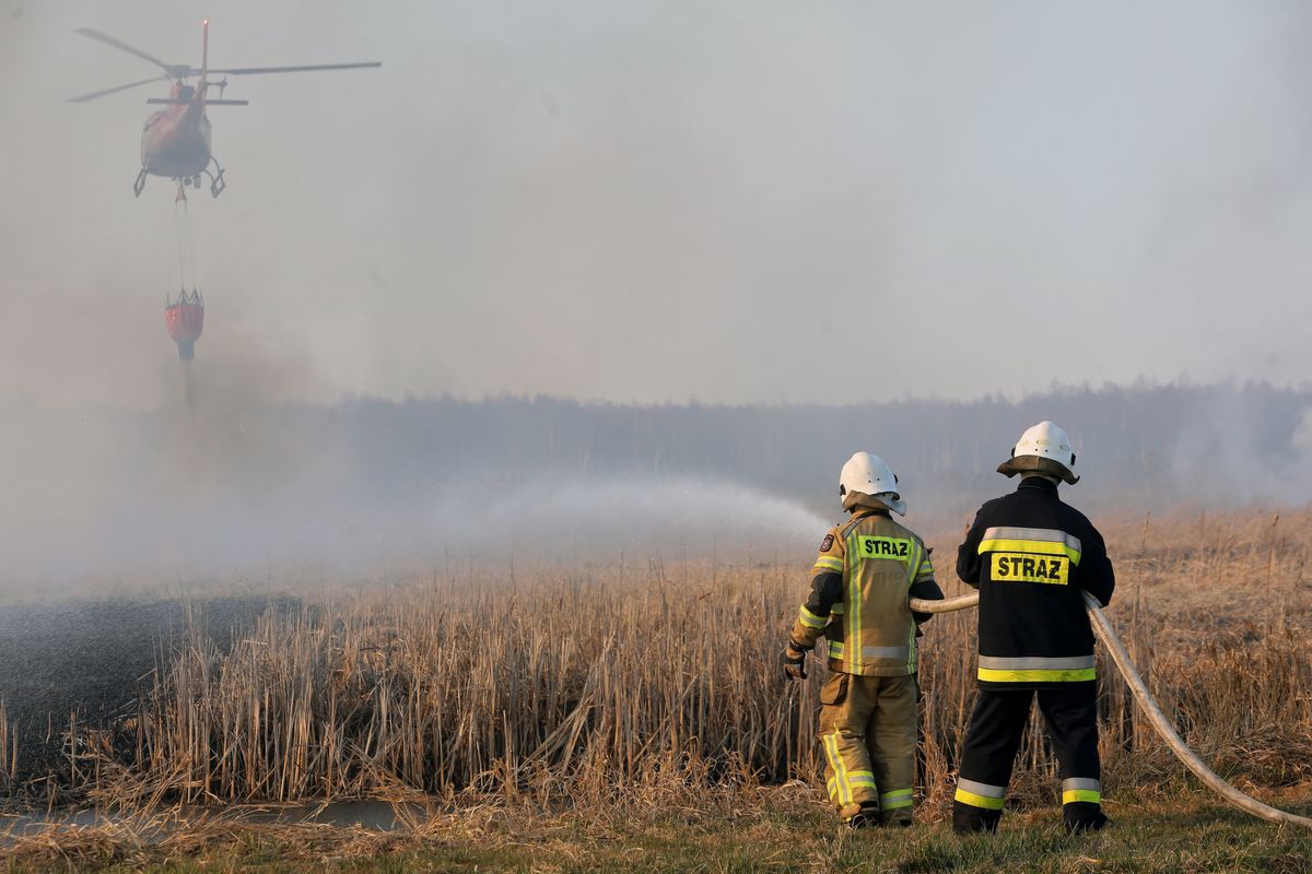 Pożar w Biebrzańskim Parku Narodowym. Chmura dymu nadciąga nad Warszawę