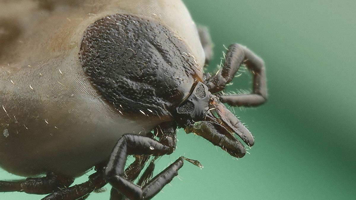 Zdjęcie ilustracyjne. 