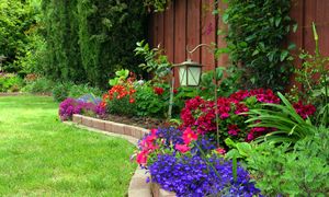 Zapomnij o nudnych krawężnikach. Te obrzeża robią efekt wow