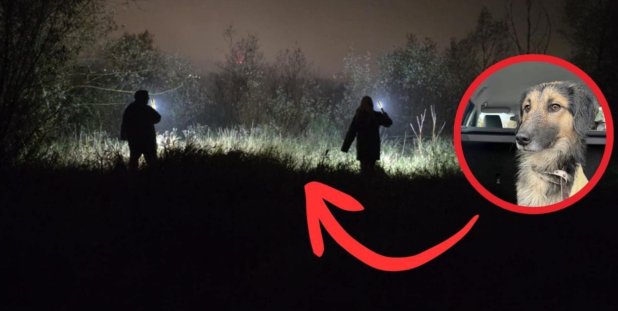 Szczęśliwy finał dramatycznej akcji we Włocławku – pies przepłynął Wisłę i został uratowany