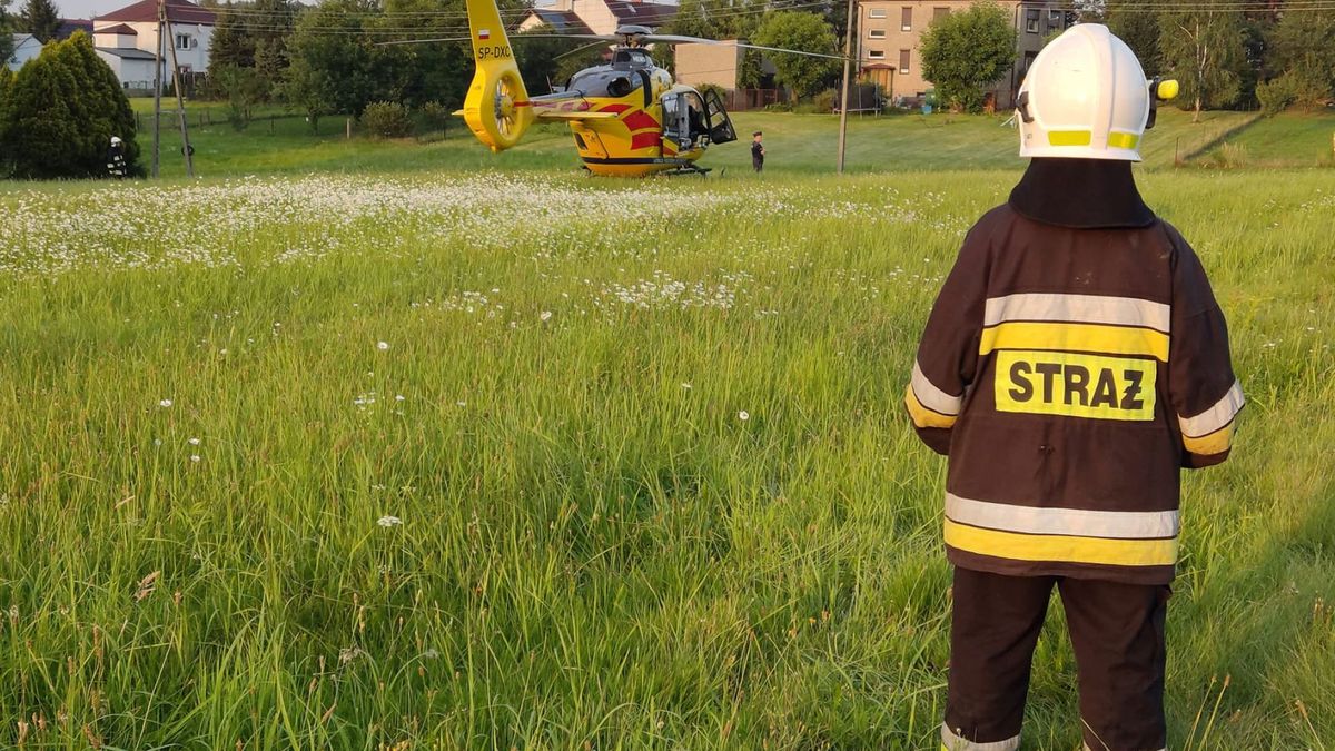 Tragedia na oczach rodziców. 4-letni Michałek utopił się w oczku wodnym