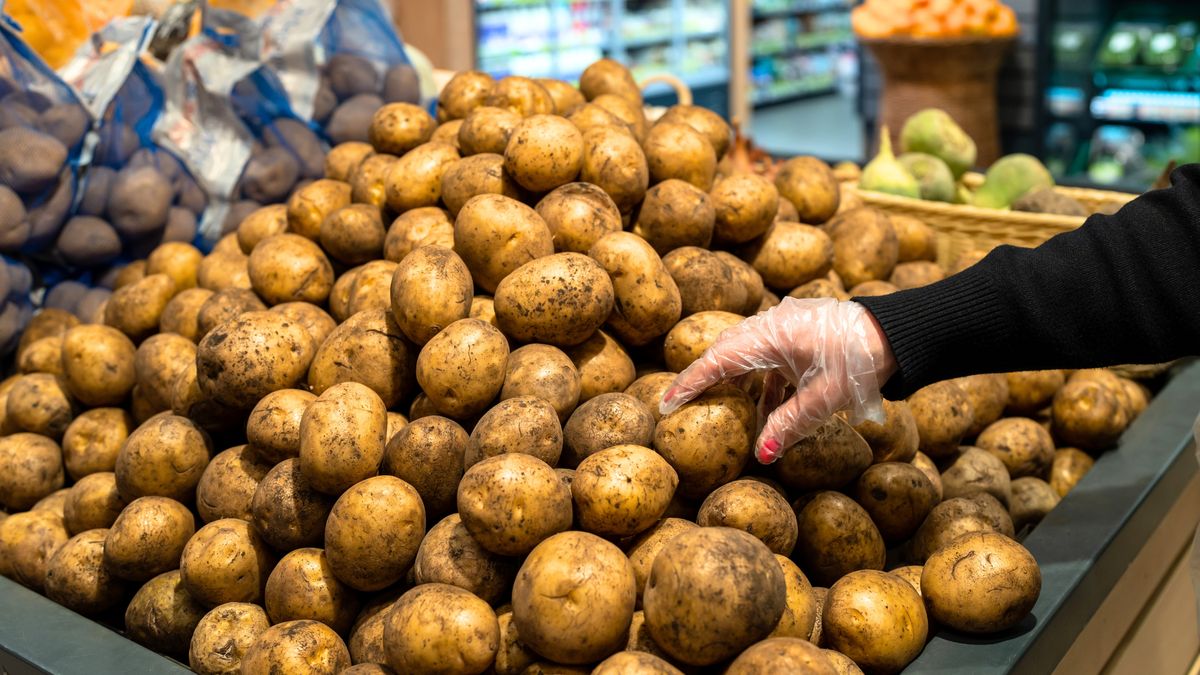 Rosja zmaga się z kryzysem ziemniaczanym 