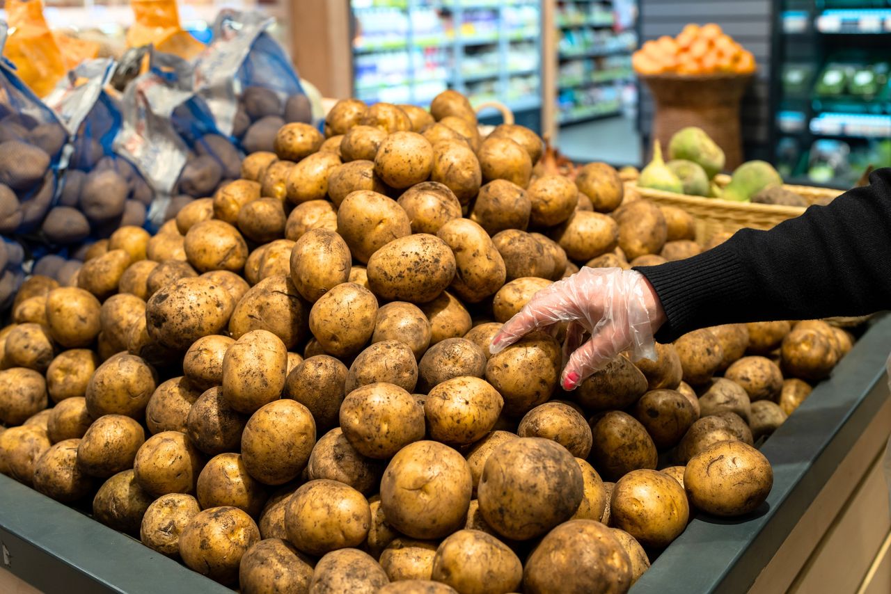 Kryzys ziemniaczany w Rosji. Takich cen jeszcze nie było