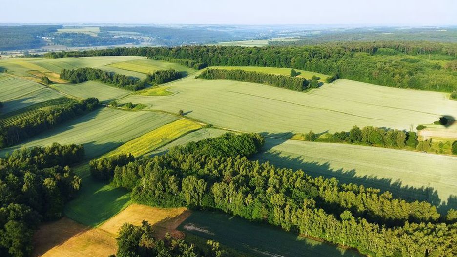 Kraszczady to nieoficjalna nazwa miniregionu na terenie Lubelszc
