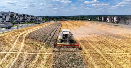 Aż się kurzy! Żniwa pomiędzy blokami na Wrotkowie. Zobacz zdjęcia z drona