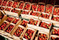 Ceny truskawek lecą w dół. Rolnicy są załamani. Ile kosztuje kilogram owoców?
