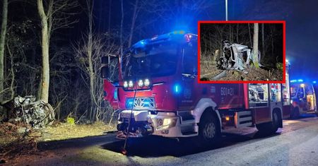 Próbował ominąć sarnę, rozbił samochód na drzewie. Dramatyczny wypadek