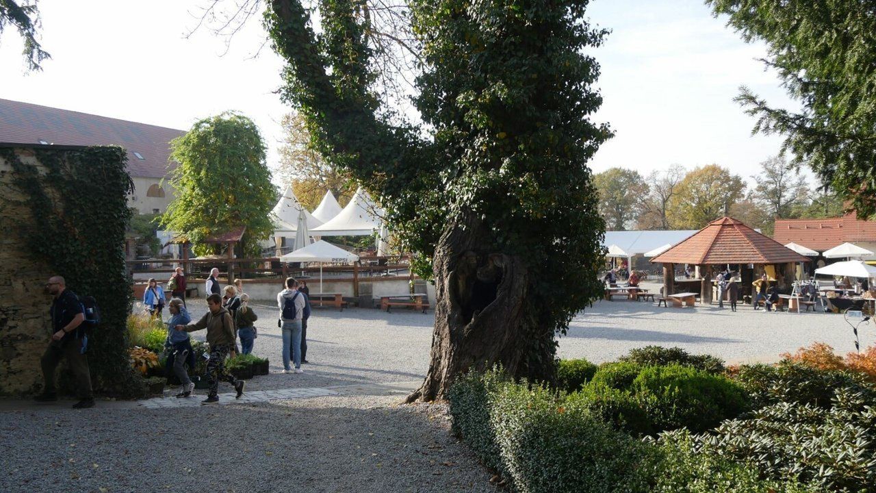 Arboretum Wojsławice