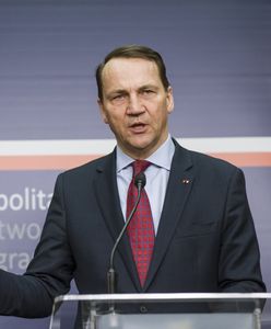 Sikorski zabrał głos. "Wybiła godzina próby"