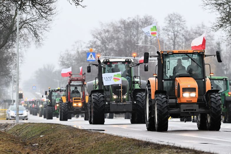 Protesty rolników w Polsce. "Potrzebny jest dialog z Ukrainą i KE"