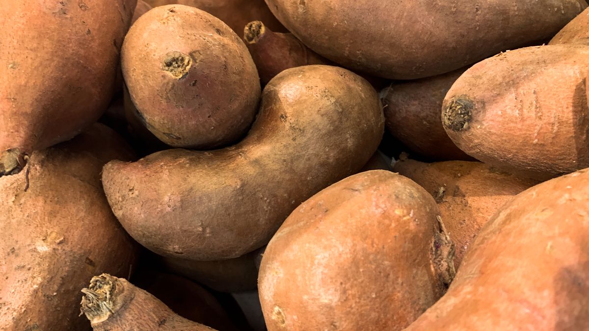 Bataty - najwięcej eksportują ich do nas Egipt