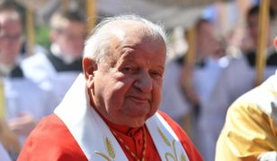 Kard. Dziwisz i biskupi nie staną przed sądem. Prokuratura odmówiła wszczęcia śledztwa