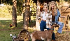 1,17 mln widzów nowego reality-show Polsatu „Farma”