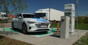 Nie będzie miliona elektryków do 2025 roku. Ministerstwo zmienia plany, a producenci mierzą się z problemami