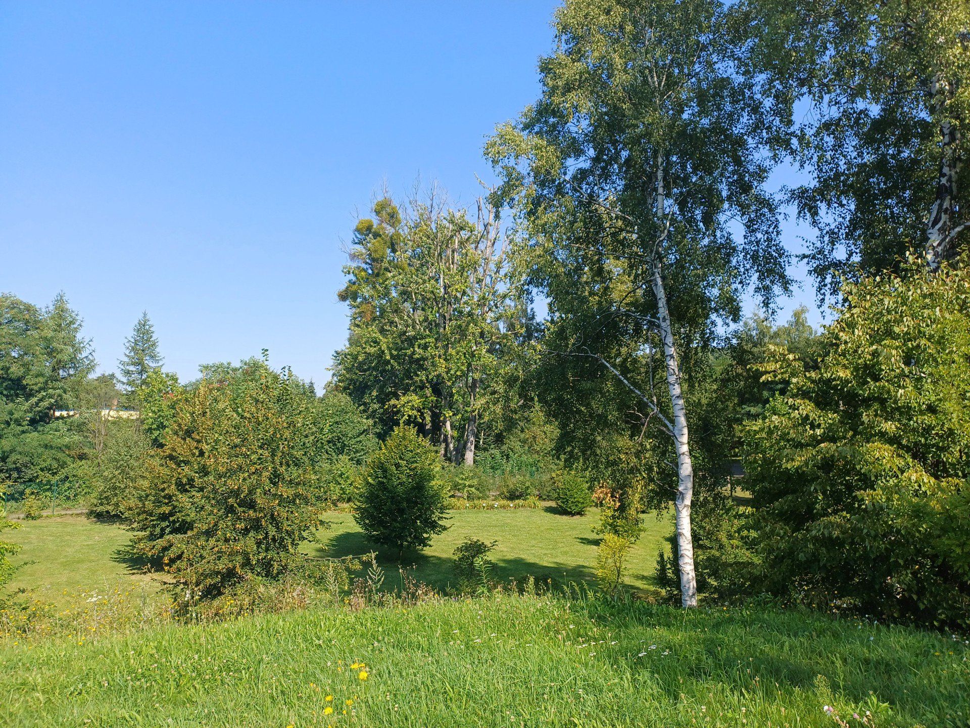 Śląski Ogród Botaniczny w Radzionkowie