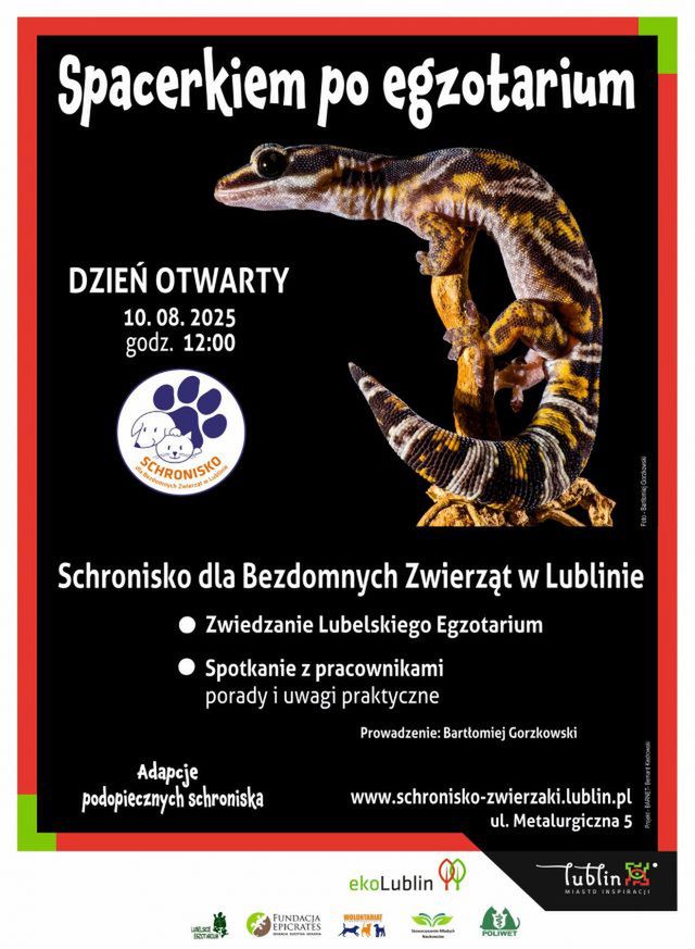 Iguany, żółwie i agamy – Dzień Otwarty w Schronisku dla Zwierząt