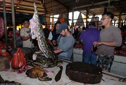 Pół kilo kosztuje 400 zł. Cena przeraża jak to, co na talerzu