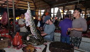 Pół kilo kosztuje 400 zł. Cena przeraża jak to, co na talerzu