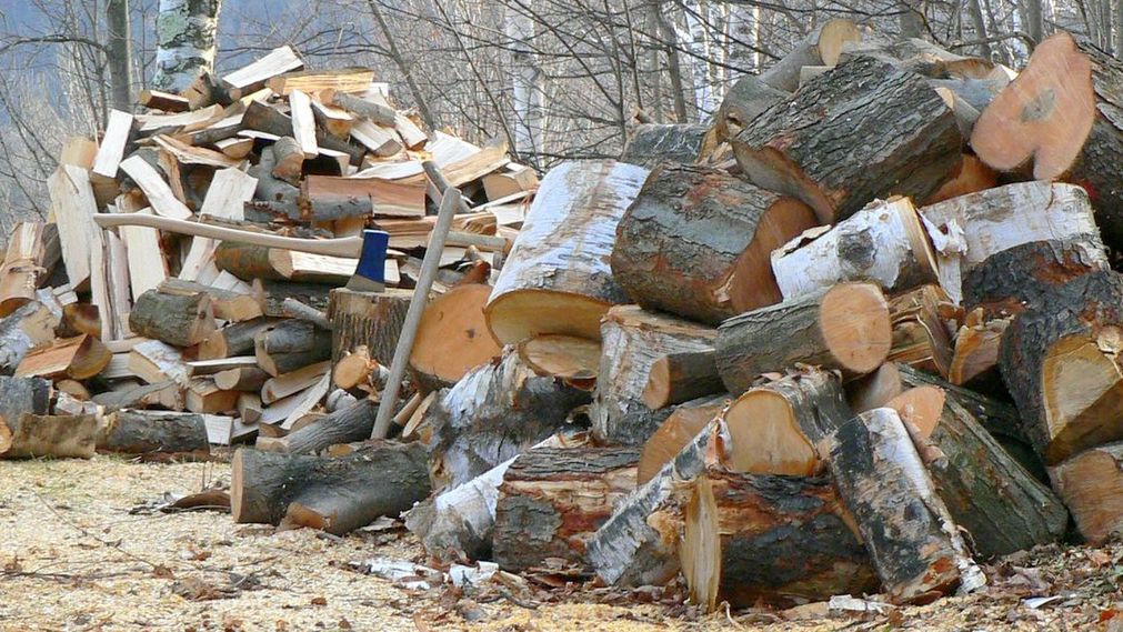 Fot. na licencji Creative Commons; Flickr.com/by dvs