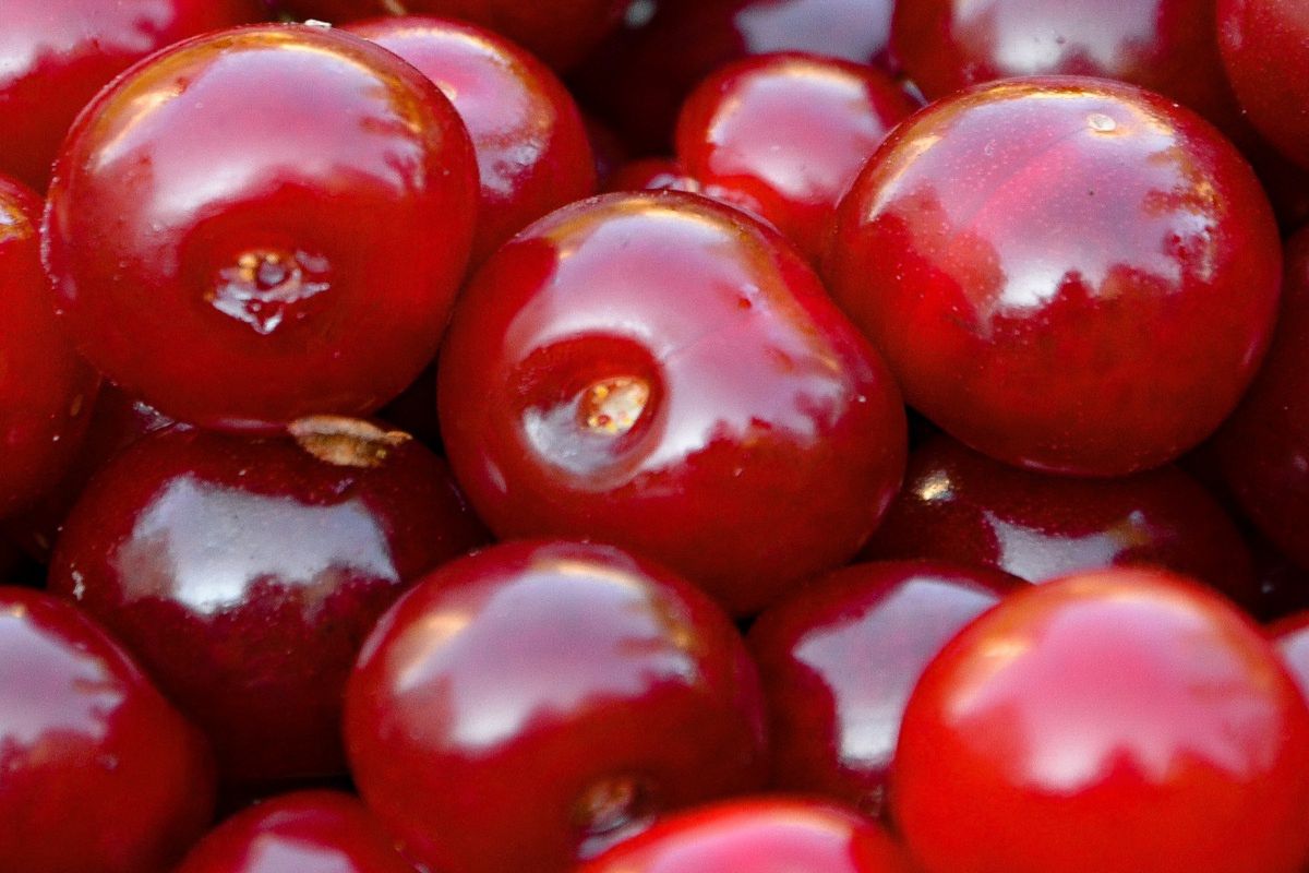 Juicy red cherries