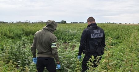 Rekrutacja do straży granicznej. Kogo szukają? Na chętnych czeka ponad 70 etatów