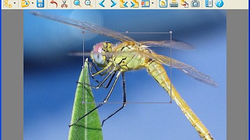 Druga wersja Beta XnView 1.96 1
