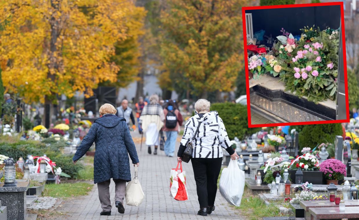 Hieny cmentarne w natarciu. Bus pełen kwiatów i zniczy