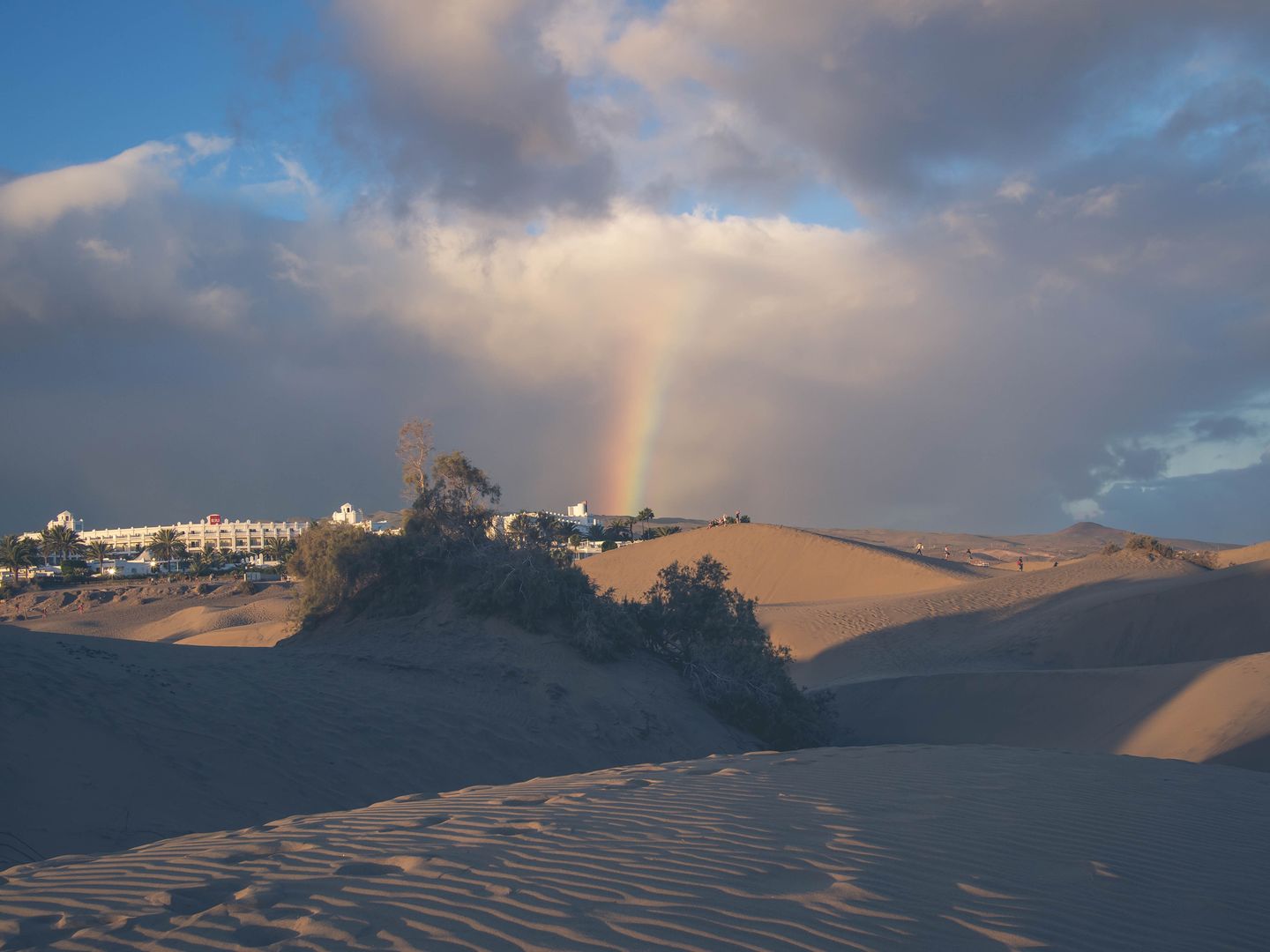 Dunas de Maspalomas 
