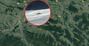 W sądeckich lasach spotkano pumę? Polskę obiegło zagadkowe zdjęcie