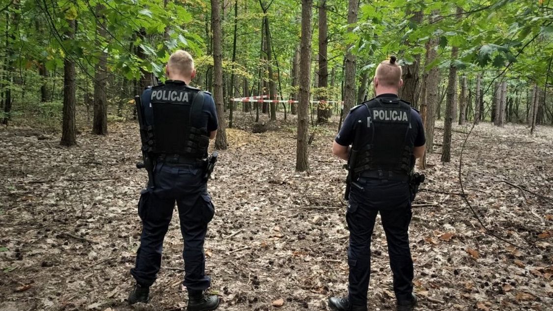 Mikołów, teren leśny w rejonie zbiornika "Starganiec". 