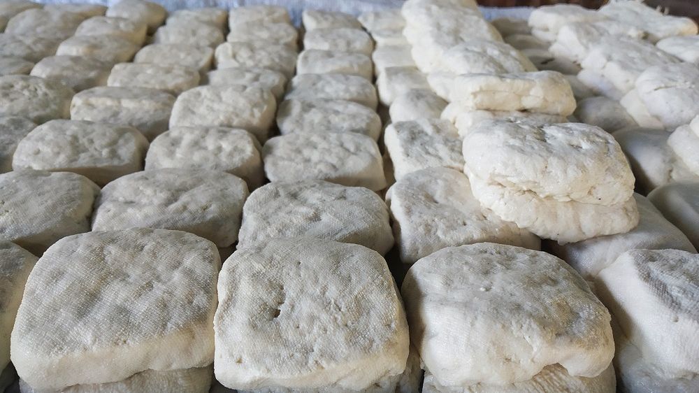 W trosce o zdrowie trzustki zamiast mięsa warto wybierać tofu