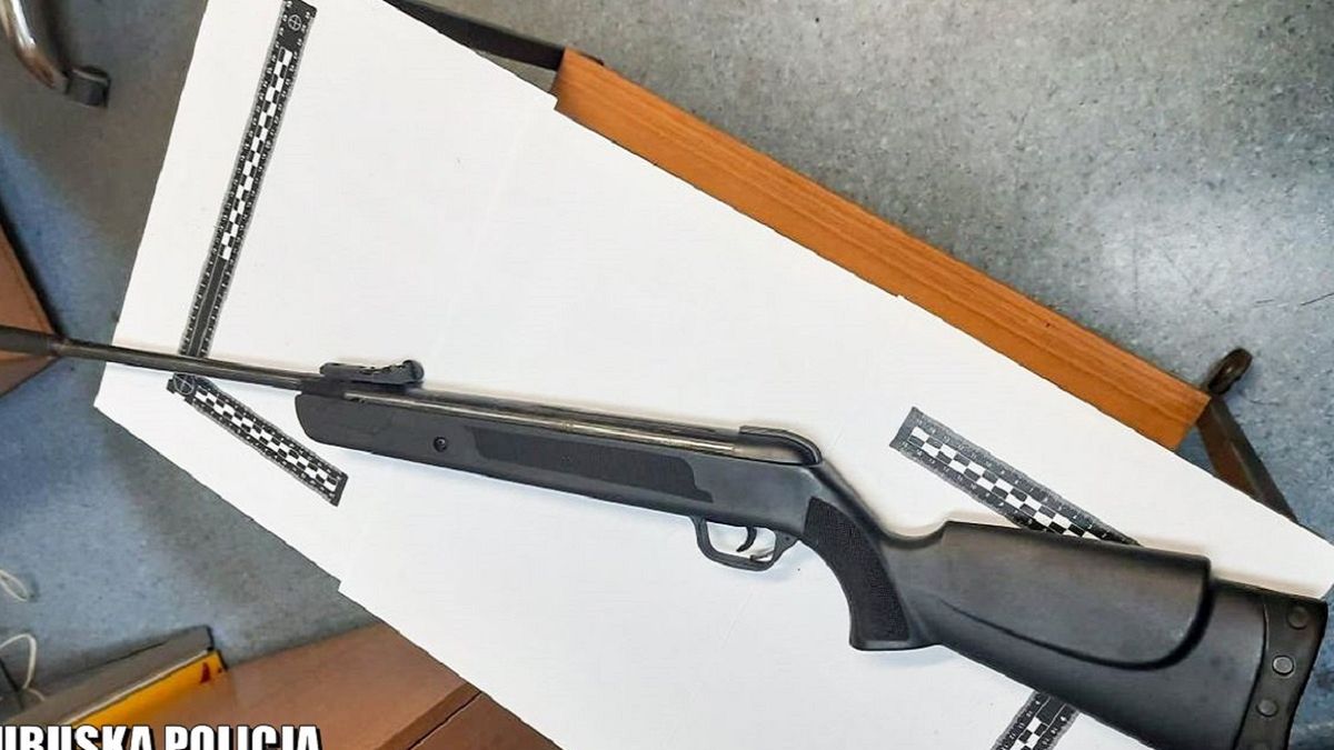 67-latek zastrzelił psa 