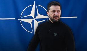 Ruch Zełenskiego ws. NATO. Ekspert: to jest powiedzenie "sprawdzam"