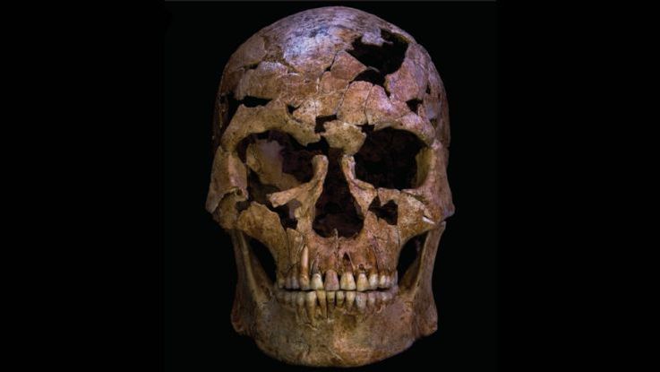 Czaszka znaleziona w Wietnamie