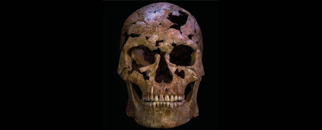 Odkryto kości w Wietnamie. Mogą być najstarszej ofiary morderstwa