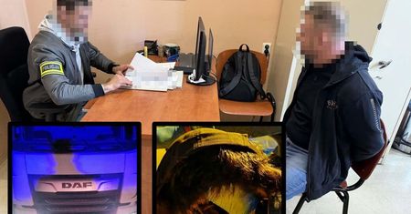 Tarnowskie Góry: Podrobione tablice i kradzieże paliwa