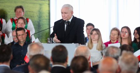 Zakaz importu zboża i żywności z Ukrainy. Jarosław Kaczyński o "twardej decyzji"