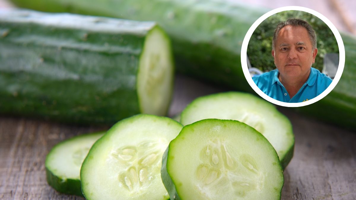 Robert Makłowicz robi niesamowitą sałatkę na bazie ogórka