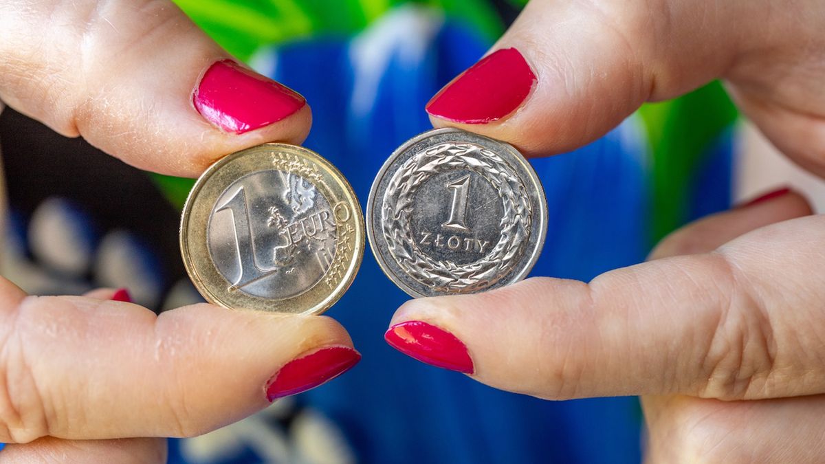 Przelewy w euro mają być dostępne całą dobę