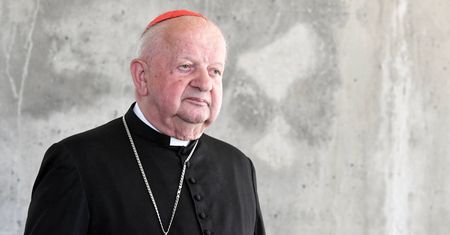 Stanisław Dziwisz wydaje oświadczenie w sprawie "Don Stanislao"