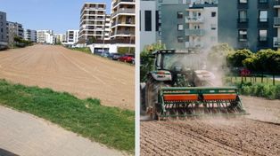 Lublin: Koniec ze słynnym polem między blokami