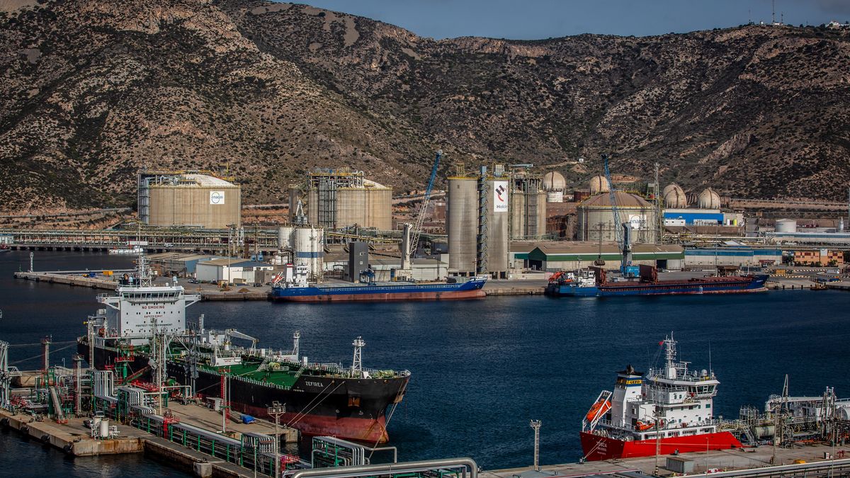 Tankers and ships docked in the Escombreras inner harbor, an extension of the Port of Cartagena, in Cartagena, Spain, on Thursday, Jan. 27, 2022. Oil is headed for a sixth straight weekly gain, with prices trading near a seven-year high as crude makes a roaring start to 2022. Photographer: Angel Garcia/Bloomberg via Getty Images